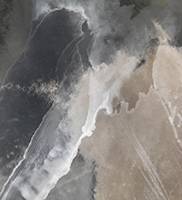 Les 3 finalistes des Prix HiP 2019 • catégorie "Nature et environnement" Les 3 finalistes des Prix HiP 2019 • catégorie "Nature et environnement"