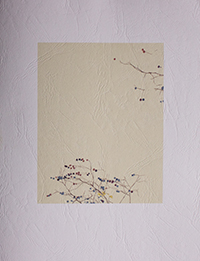 Les 3 finalistes des Prix HiP 2019 • catégorie "Monographie artistique" Les 3 finalistes des Prix HiP 2019 • catégorie "Monographie artistique"