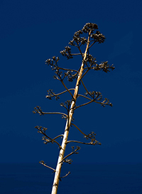Les 3 finalistes des Prix HiP 2019 • catégorie "Premier livre" Les 3 finalistes des Prix HiP 2019 • catégorie "Premier livre"
