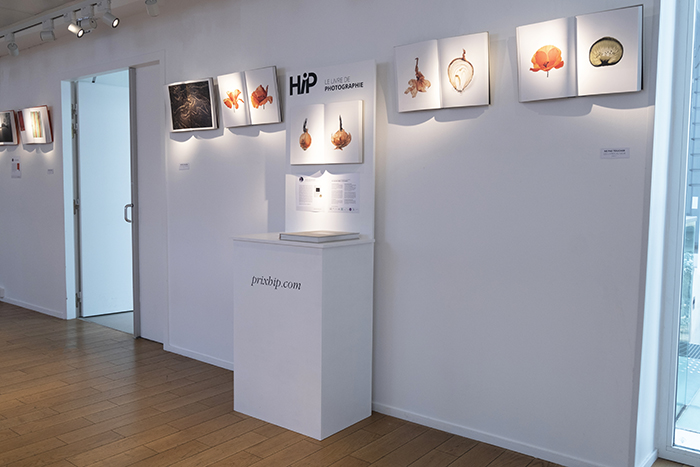 Les lauréats des Prix HiP exposés cet été à l'Espace Andrée Chedid Les lauréats des Prix HiP exposés cet été à l'Espace Andrée Chedid