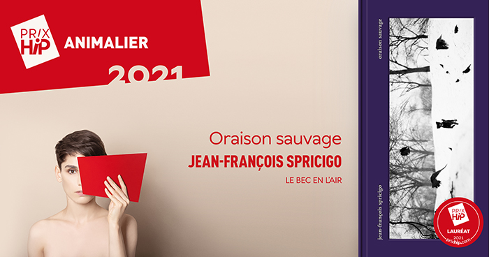 Lauréat du Prix HiP 2021 catégorie "Animalier" : Oraison sauvage, de Jean-François Spricigo (Le bec en l'air) Lauréat du Prix HiP 2021 catégorie "Animalier" : Oraison sauvage, de Jean-François Spricigo (Le bec en l'air)