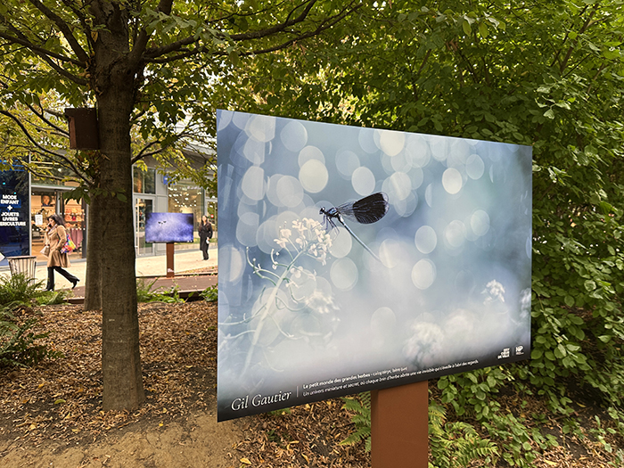 La nature nous émerveille • La nouvelle exposition Issy Cœur de Ville x HiP, du 19 octobre au 8 novembre 2026