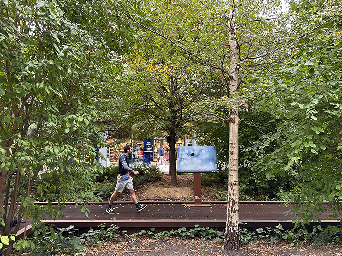 La nature nous émerveille • La nouvelle exposition Issy Cœur de Ville x HiP, du 19 octobre au 8 novembre 2026