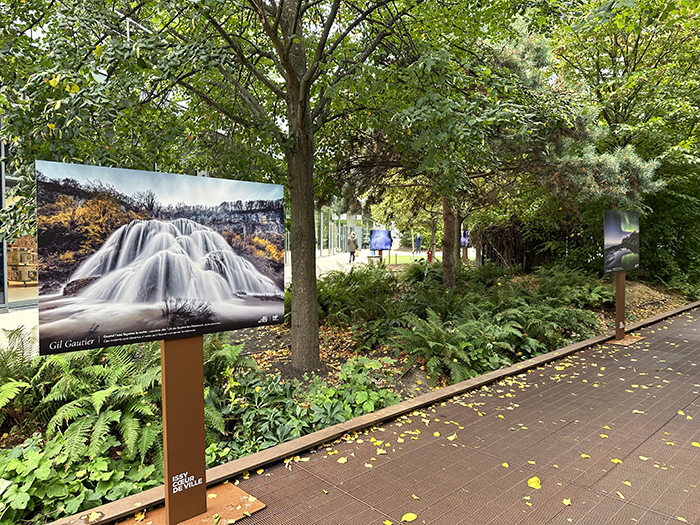 La nature nous émerveille • La nouvelle exposition Issy Cœur de Ville x HiP, du 19 octobre au 8 novembre 2026