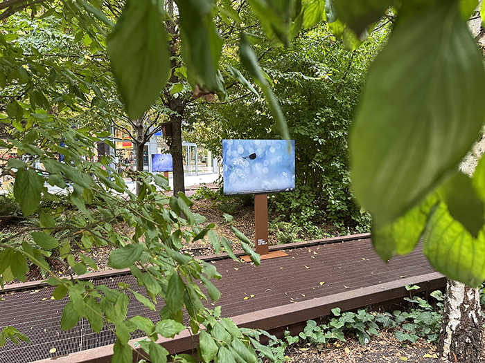 La nature nous émerveille • La nouvelle exposition Issy Cœur de Ville x HiP, du 19 octobre au 8 novembre 2026