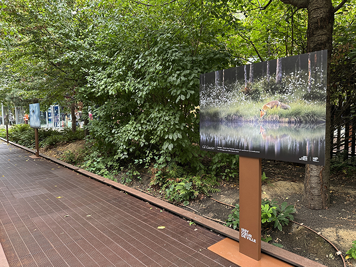 La nature nous émerveille • La nouvelle exposition Issy Cœur de Ville x HiP, du 19 octobre au 8 novembre 2026