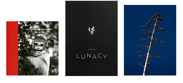 Les 3 finalistes des Prix HiP 2019 • catégorie "Premier livre" Les 3 finalistes des Prix HiP 2019 • catégorie "Premier livre"