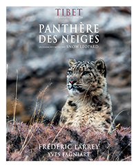 Les 3 finalistes des Prix HiP 2020 • catégorie "Animalier" Les 3 finalistes des Prix HiP 2020 • catégorie "Animalier"