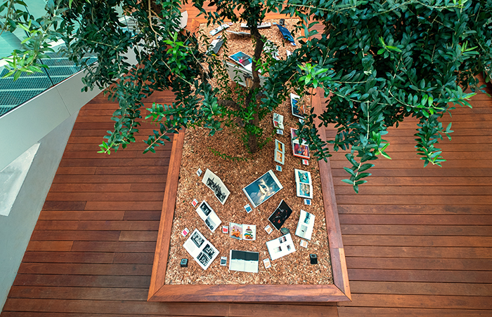 "Une bibliothèque photographique, 40 femmes à livre ouvert", la première exposition de livres entièrement consacrée aux femmes photographes "Une bibliothèque photographique, 40 femmes à livre ouvert", la première exposition de livres entièrement consacrée aux femmes photographes