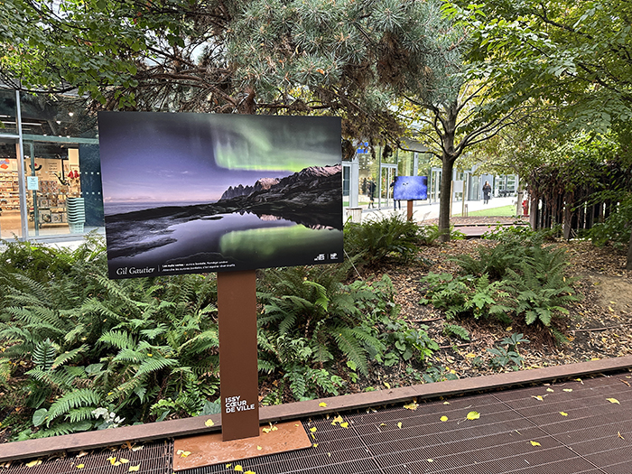 La nature nous émerveille • La nouvelle exposition Issy Cœur de Ville x HiP, du 19 octobre au 8 novembre 2026