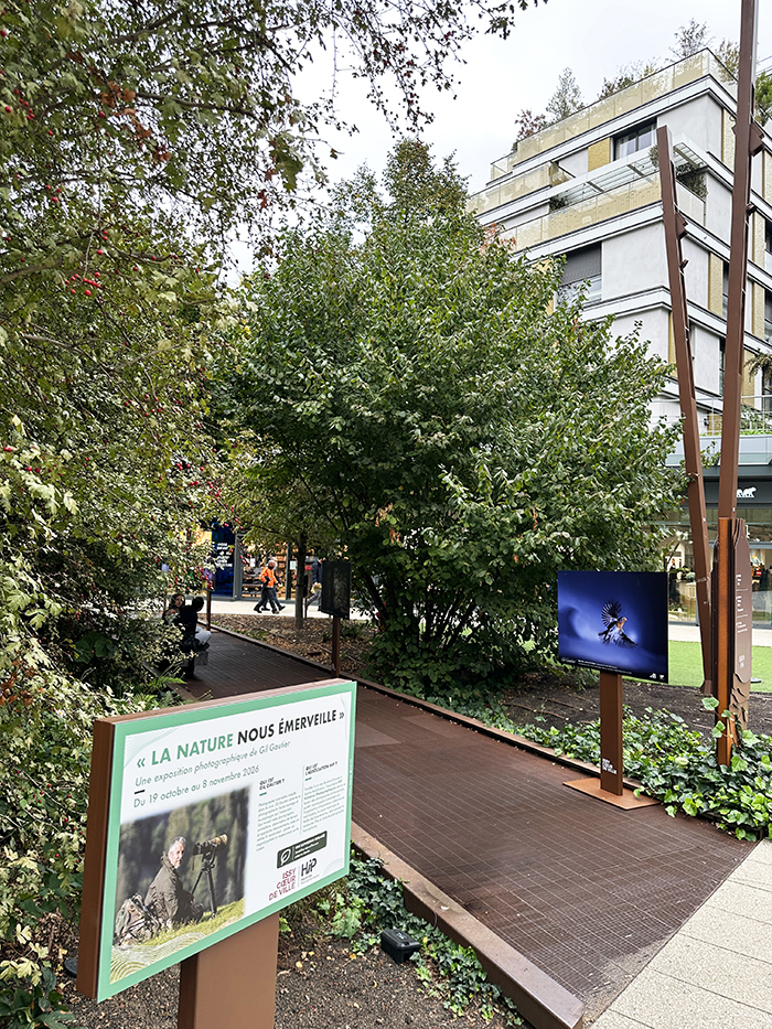 La nature nous émerveille • La nouvelle exposition Issy Cœur de Ville x HiP, du 19 octobre au 8 novembre 2026