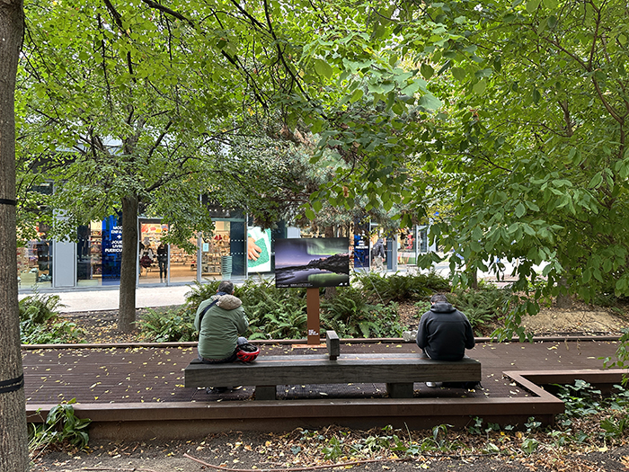 La nature nous émerveille • La nouvelle exposition Issy Cœur de Ville x HiP, du 19 octobre au 8 novembre 2026