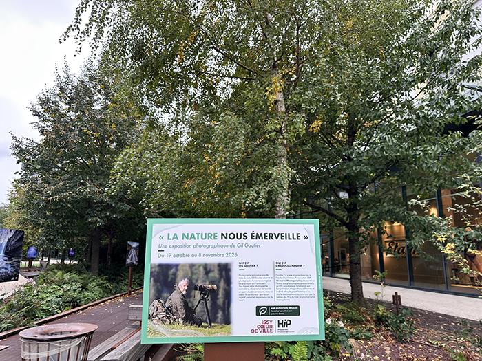 La nature nous émerveille • La nouvelle exposition Issy Cœur de Ville x HiP, du 19 octobre au 8 novembre 2026